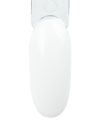 Transparent 18