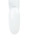 Transparent 19